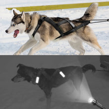 Load image into Gallery viewer, Waterproof Dog Sledding Harness Reflective Pet Sledding