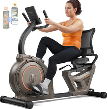 Load image into Gallery viewer, 44028867412144