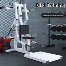 Load image into Gallery viewer, Side Lift Trainer Double Arm Abduction Machine,Commercial Gym Specific Shoulder