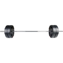 Load image into Gallery viewer, Barbells Vinyl Standard 1-Inch Plate Weight Plate for Strength Training