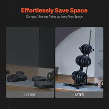 Load image into Gallery viewer, Weight Rack Barbell Storage Stand