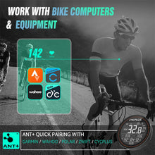 Load image into Gallery viewer, CYCPLUS Heart Rate Sensor Armband Wrist Belt Bike Computer