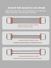 Load image into Gallery viewer, Full Body Workout Set Chest Expander