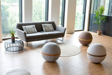 Load image into Gallery viewer, Home Pilates Balance & Stability Exercise Ball Anti Burst Office Sitting Bal