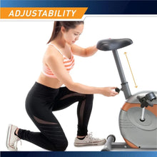 Load image into Gallery viewer, Home Fitness Personal Exercise Bike
