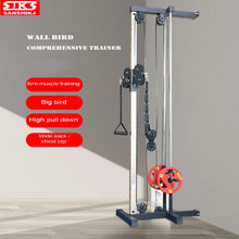 Load image into Gallery viewer, Wall Big Bird High Pull-down Smith Machine