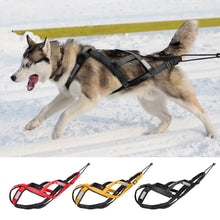 Load image into Gallery viewer, Waterproof Dog Sledding Harness Reflective Pet Sledding
