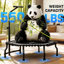 Load image into Gallery viewer, Indoor Home Gym, 550LBS Capacity, Bungee Rebounder, Jumping

